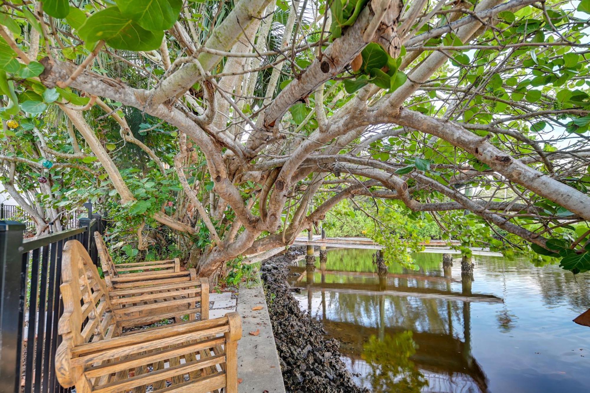 Pet-Friendly Waterfront Home - 2 Mi To Beach! Tarpon Springs Exteriör bild
